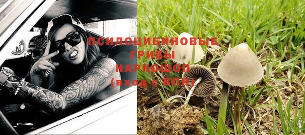 скорость Александровское