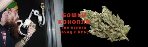 Альфа ПВП Аркадак