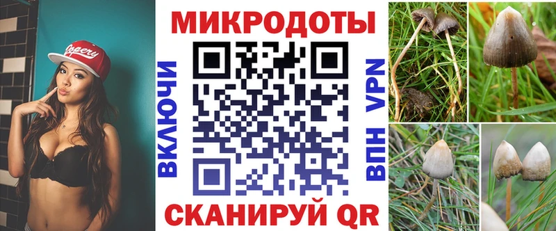 Галлюциногенные грибы Psilocybine cubensis  закладки  Бодайбо 